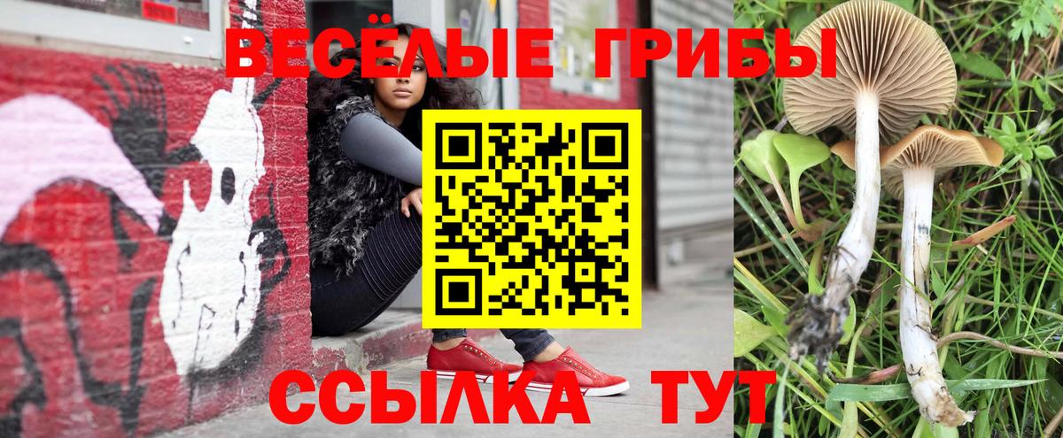 Лабинск  хочу   Вход с VPN  Галлюциногенные грибы мицелий 